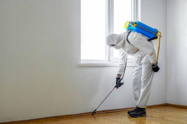 Best Commercial Pest Control  in Leavenworth, WA